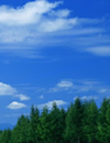 �C���[�W